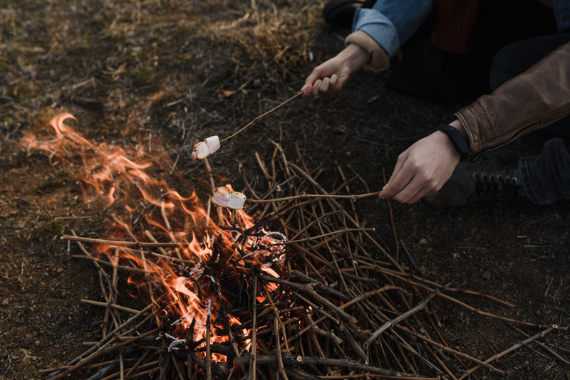 People Roasting Marshmallows on Campfire 